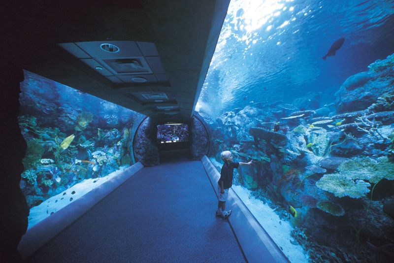 Long Beach aquarium